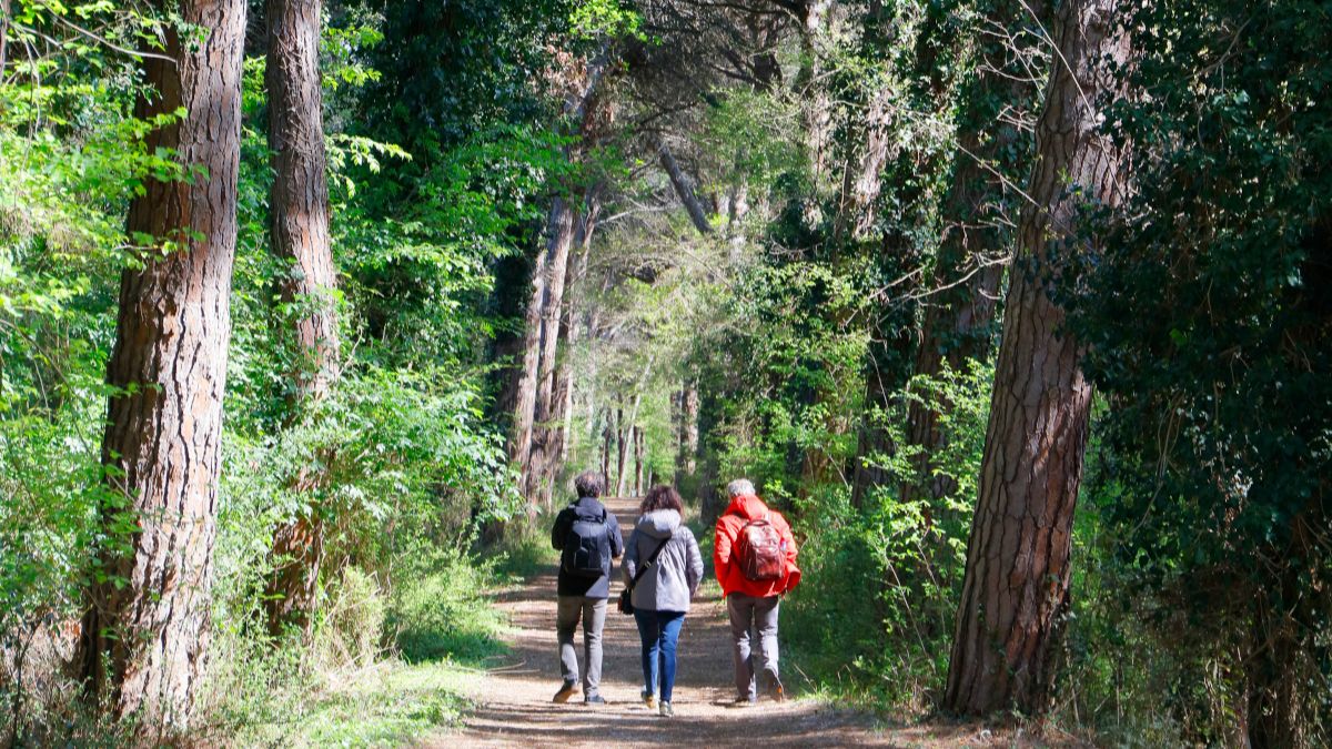 Escursioni nella natura a Vasto: cinque itinerari imperdibili