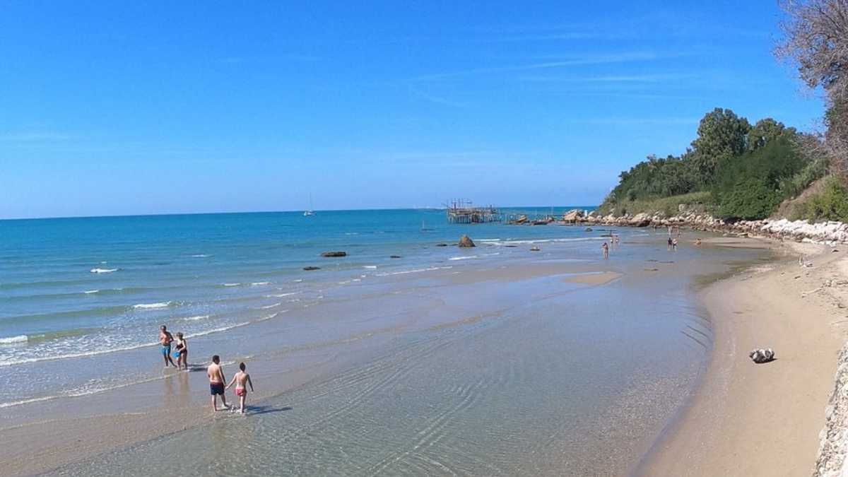 Vasto con animali: guida alle spiagge pet-friendly e ai locali